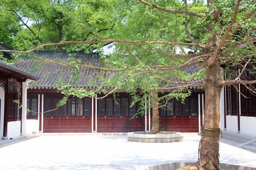 九峰書院 古韻新生，文脈傳揚——免費對外開放的仿古文化殿堂
