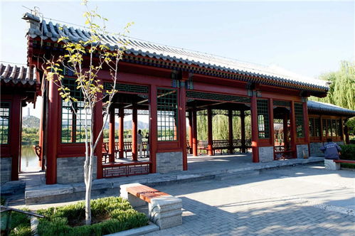 匠心雕琢，藝承古今——嘉興仿古門窗與東陽藝隆古建工程的傳承與創新